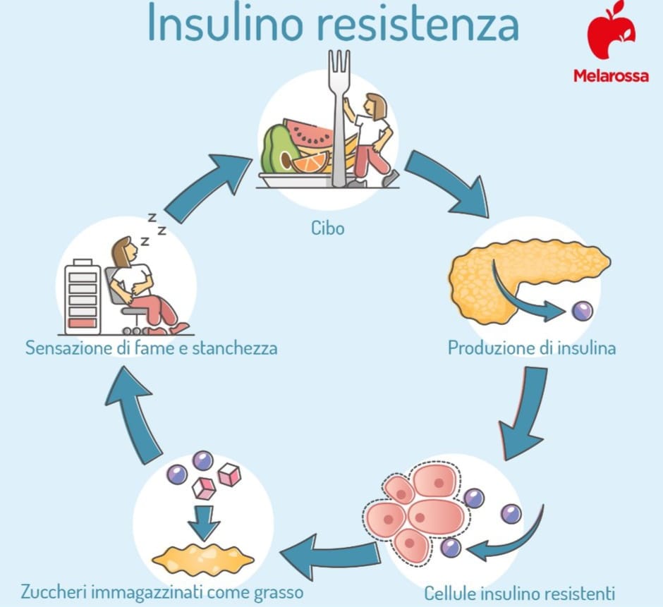 insulino resistenza